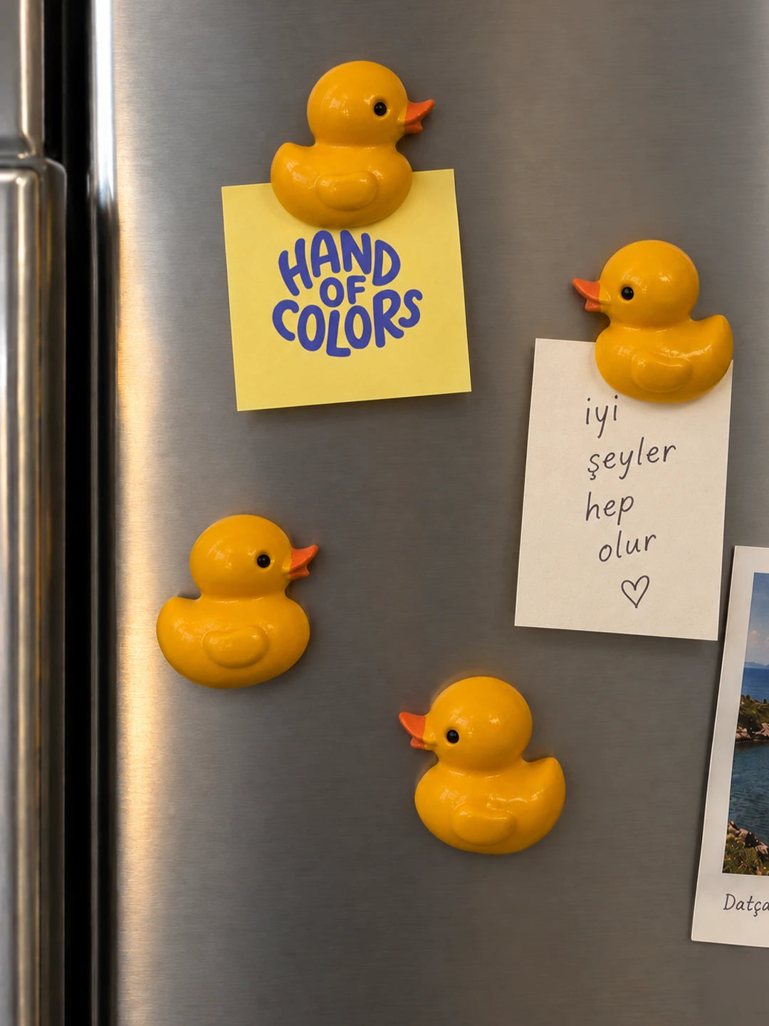 Duck Magnet