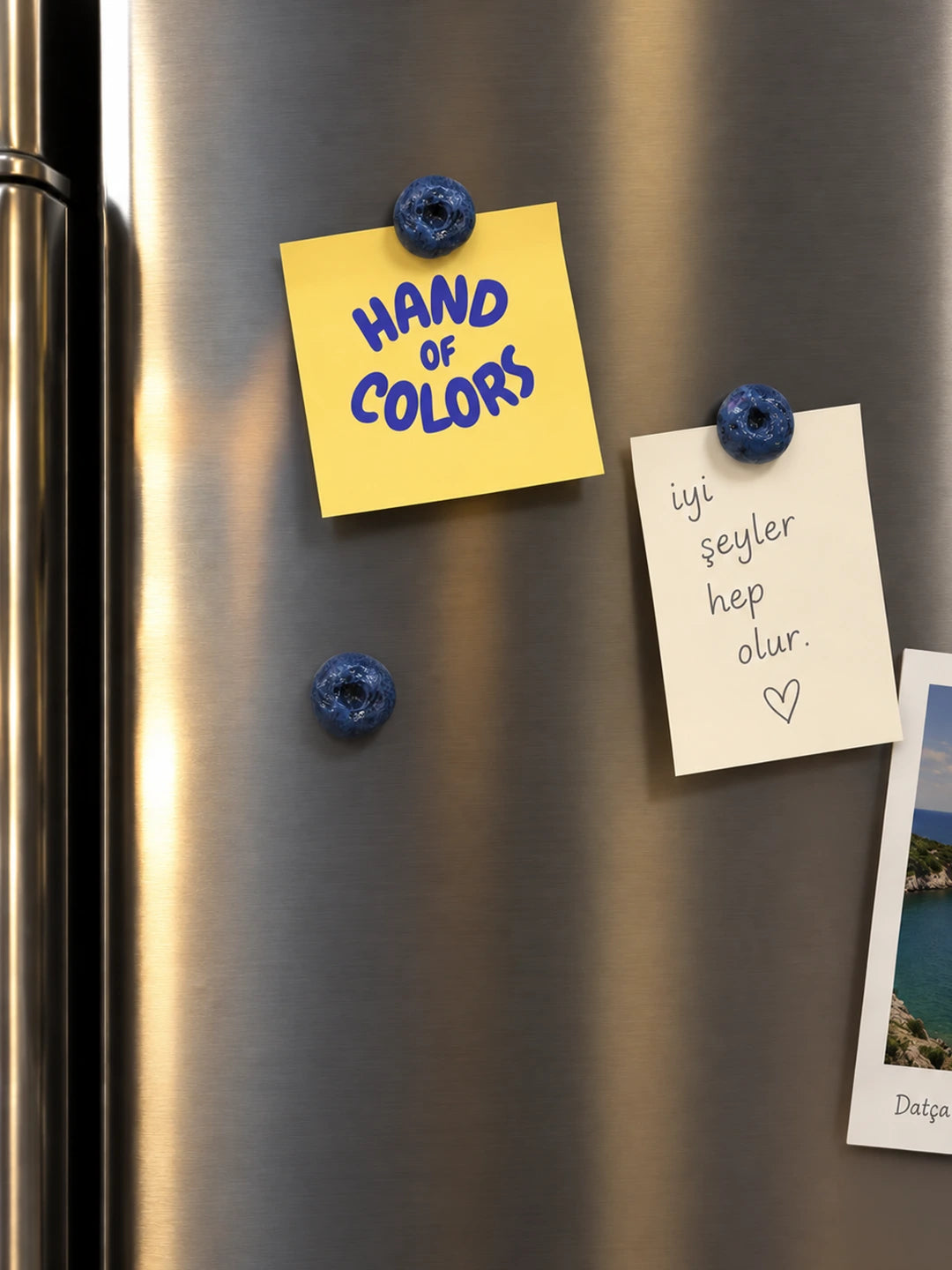 Blueberry Magnet